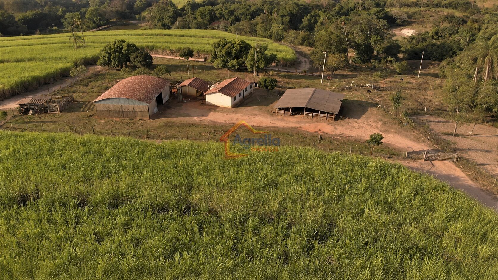 Chácara, 8 hectares - Foto 1