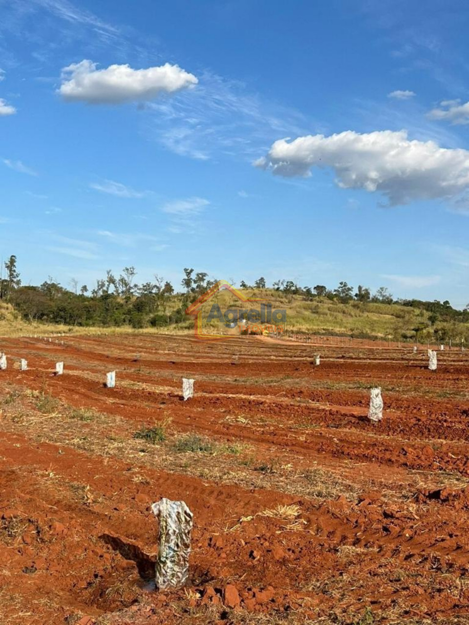 Sítio, 2 quartos, 200 m² - Foto 4