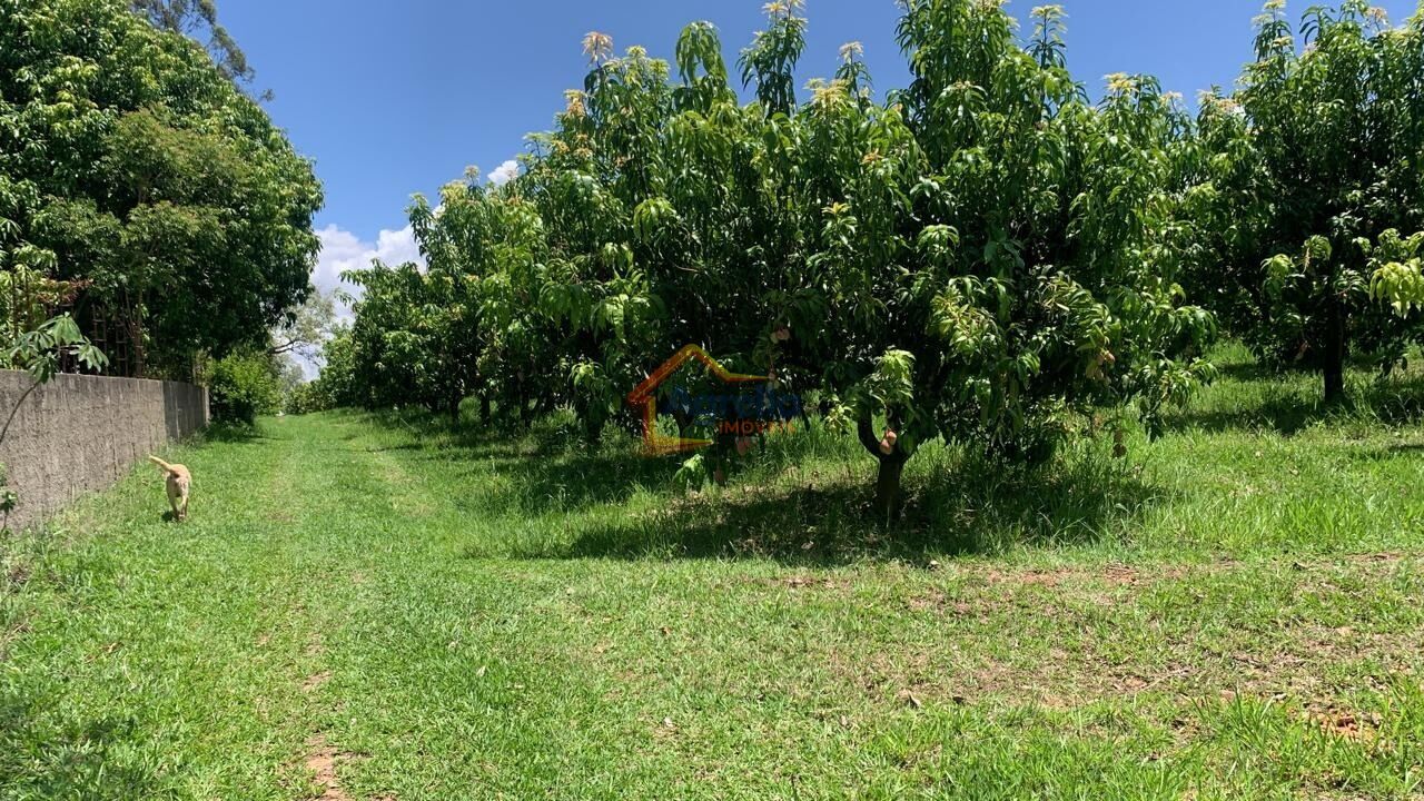 Chácara, 2 quartos, 12 hectares - Foto 31