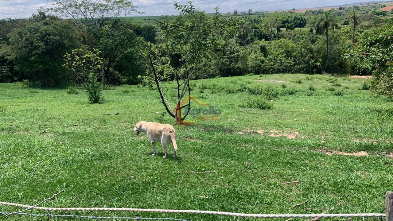 Chácara, 2 quartos, 12 hectares - Foto 38