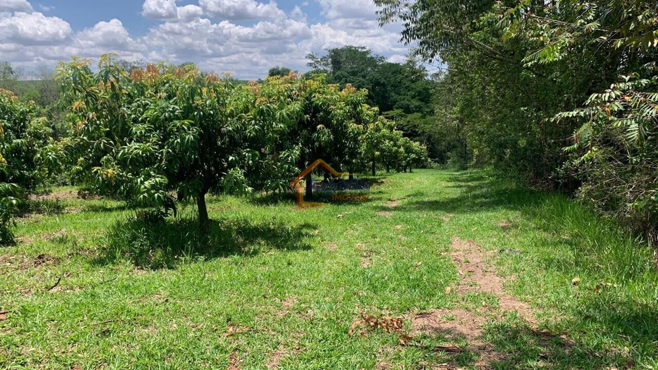 Chácara, 2 quartos, 12 hectares - Foto 27
