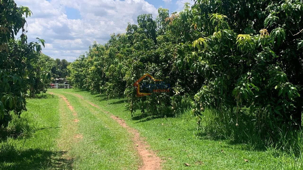 Chácara, 2 quartos, 12 hectares - Foto 22