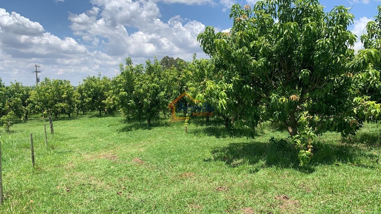 Chácara, 2 quartos, 12 hectares - Foto 34