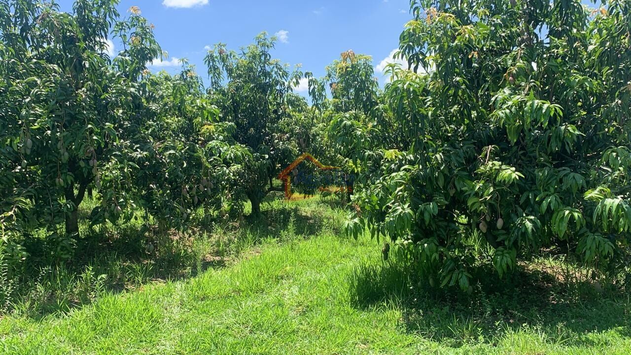 Chácara, 2 quartos, 12 hectares - Foto 29