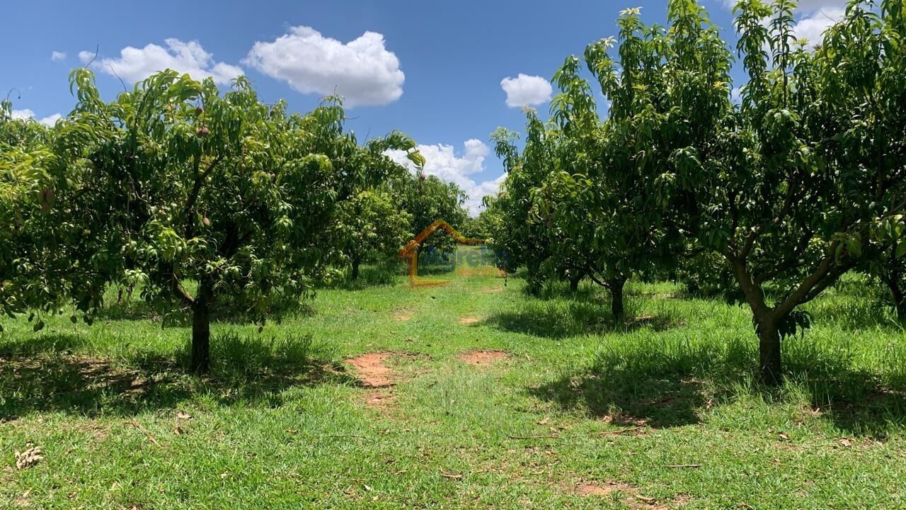 Chácara, 2 quartos, 12 hectares - Foto 37
