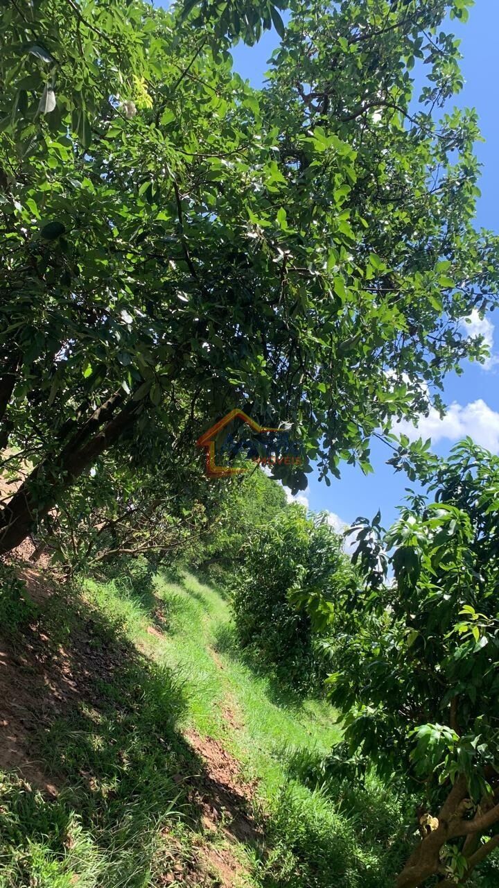 Chácara, 2 quartos, 12 hectares - Foto 32