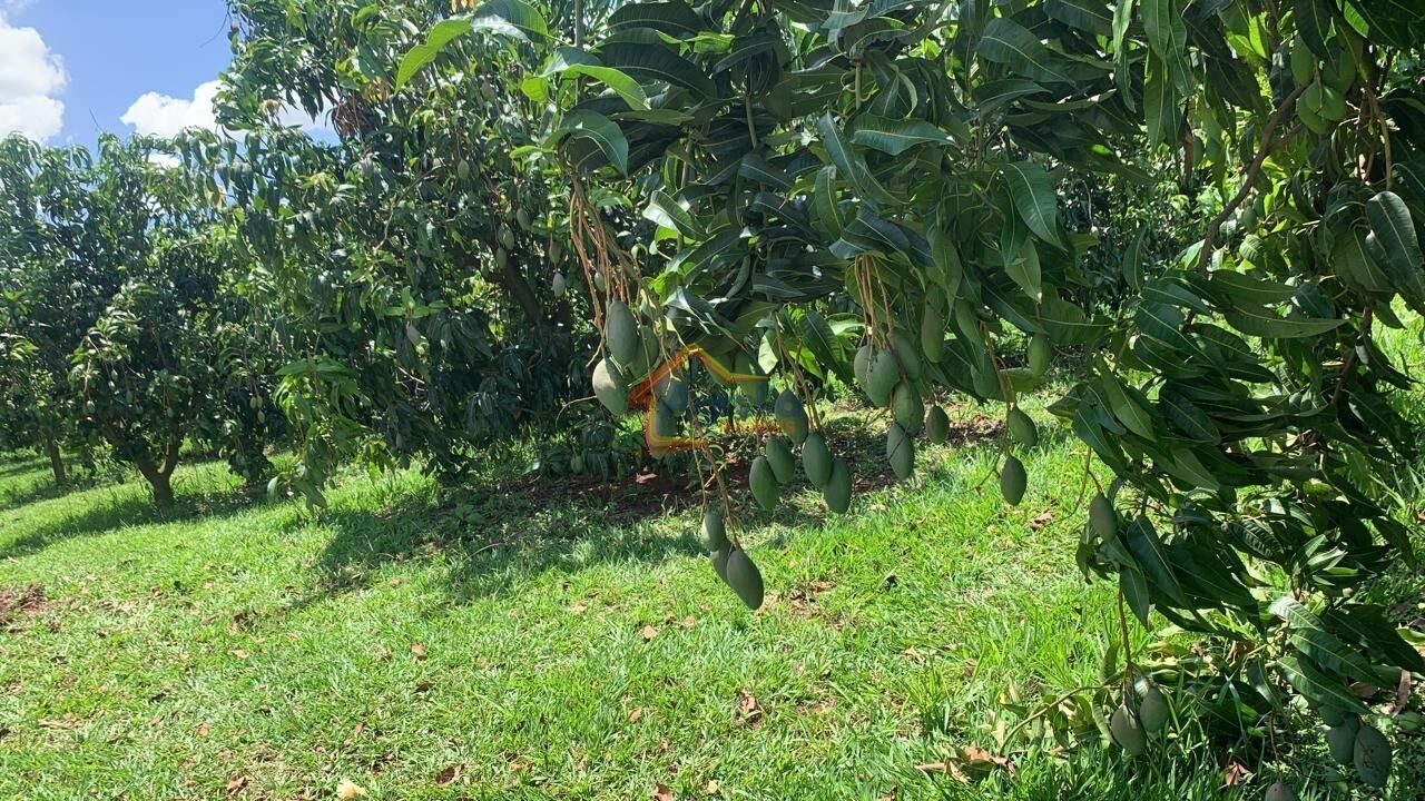Chácara, 2 quartos, 12 hectares - Foto 36