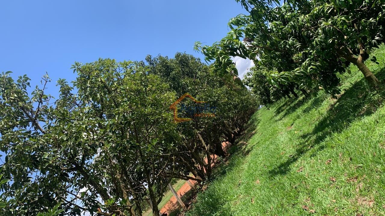 Chácara, 2 quartos, 12 hectares - Foto 28