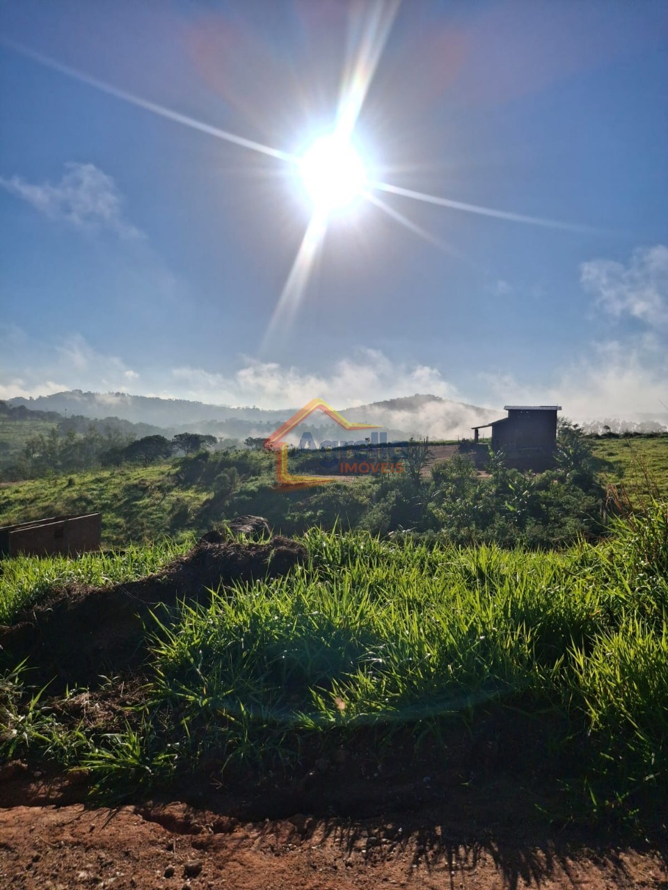 Chácara, 1000 m² - Foto 6