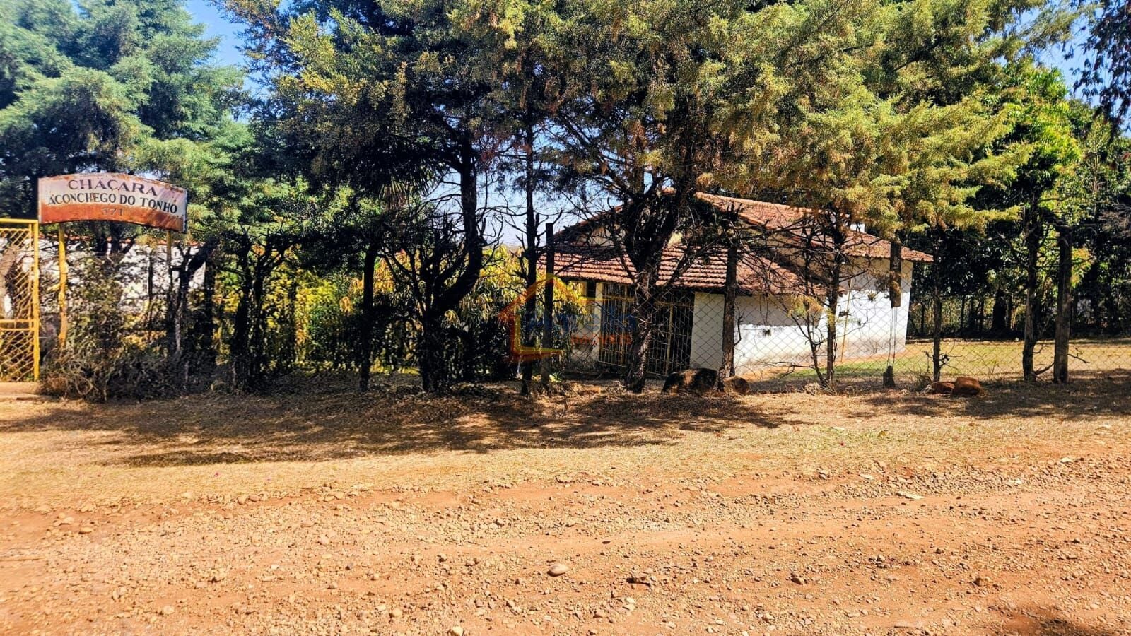 Sítio, 2 quartos, 1500 m² - Foto 3
