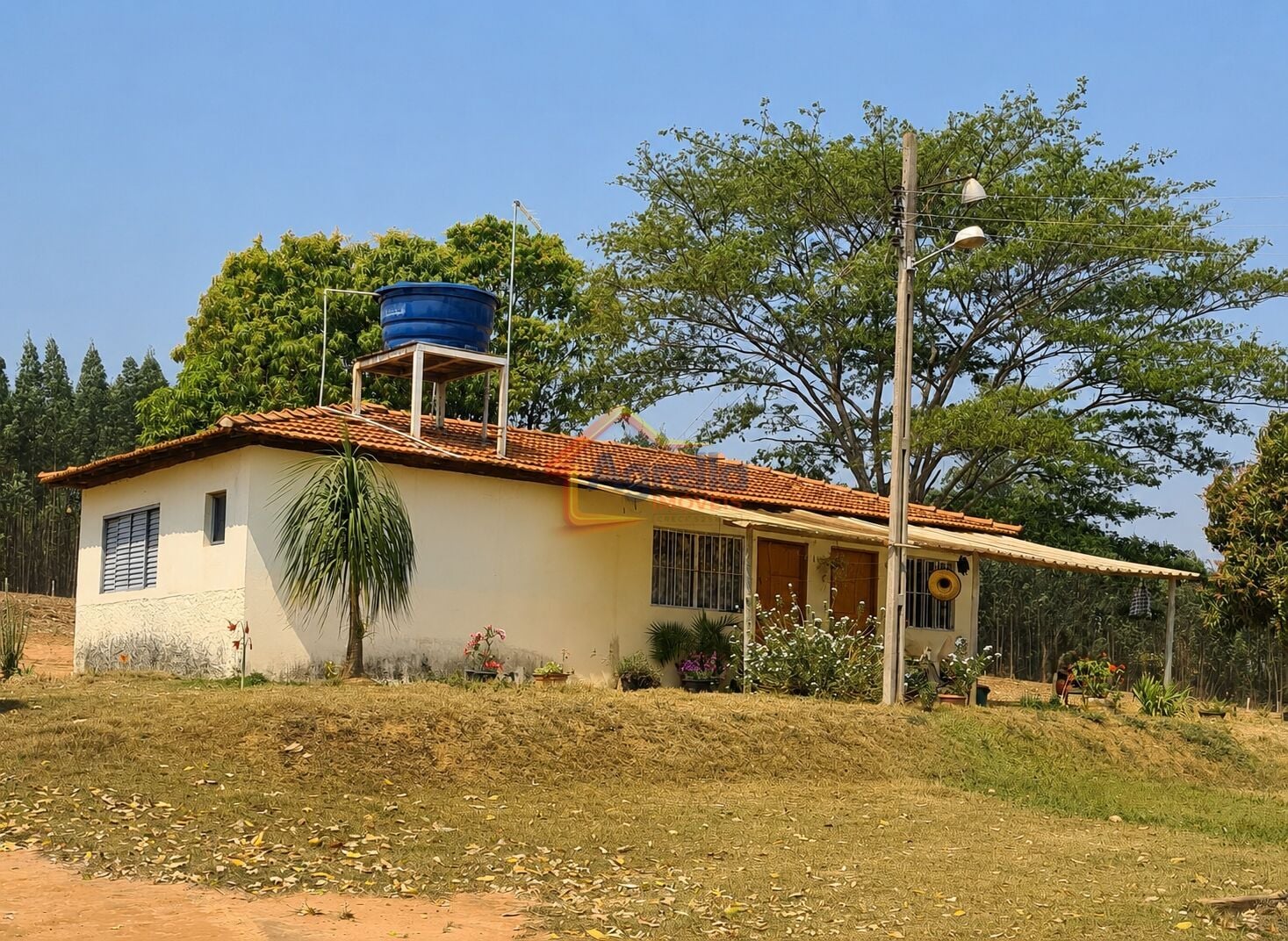 Chácara, 11 hectares - Foto 1