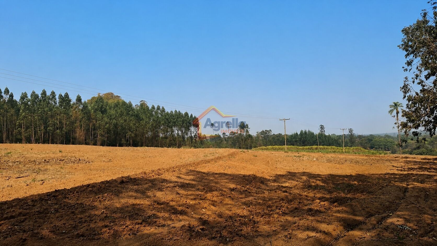 Chácara, 11 hectares - Foto 4