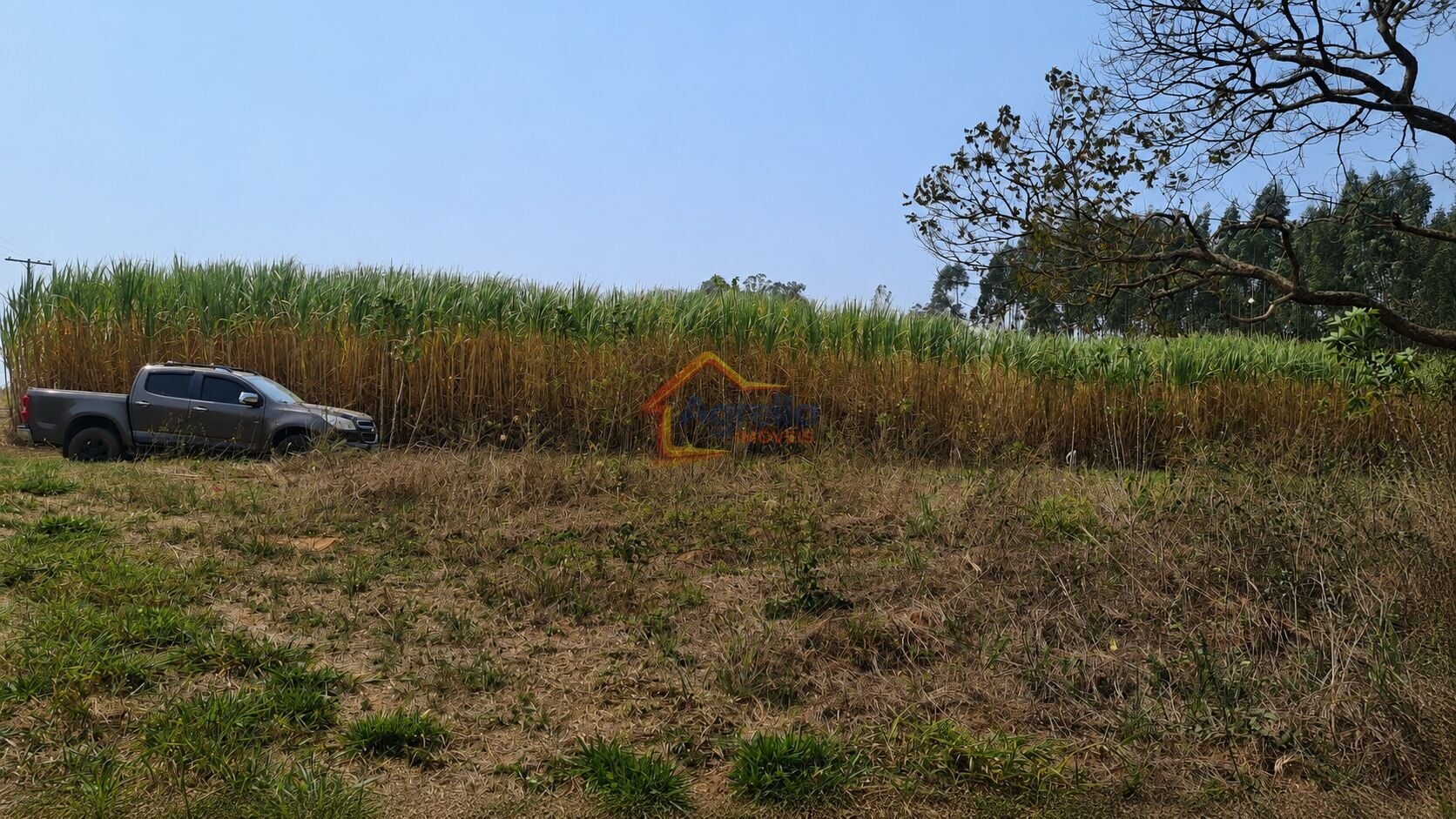 Chácara, 11 hectares - Foto 8