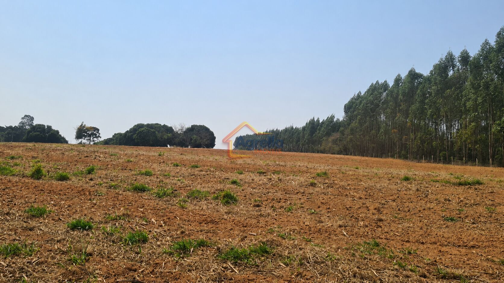Chácara, 11 hectares - Foto 3