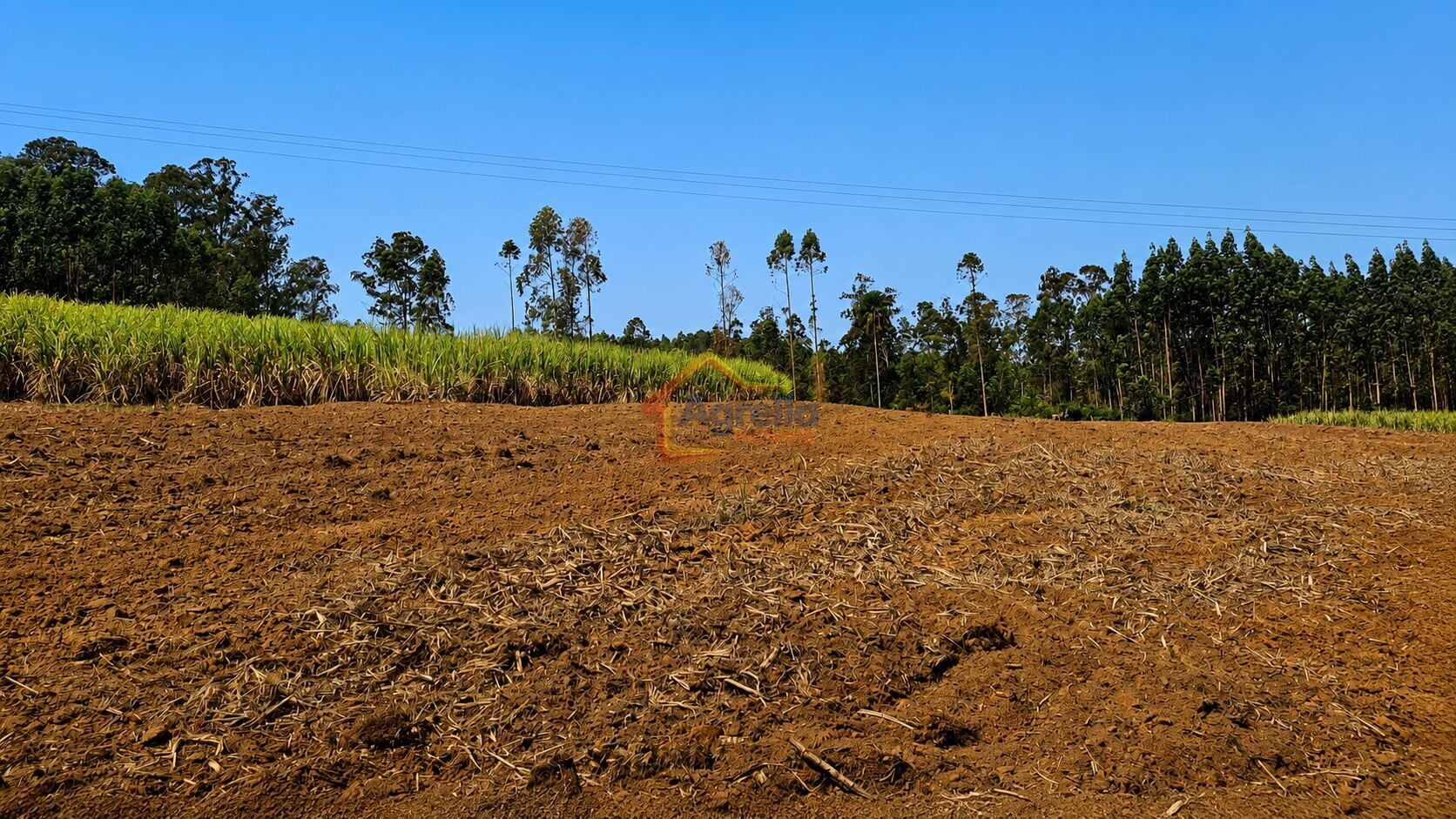 Chácara, 11 hectares - Foto 7