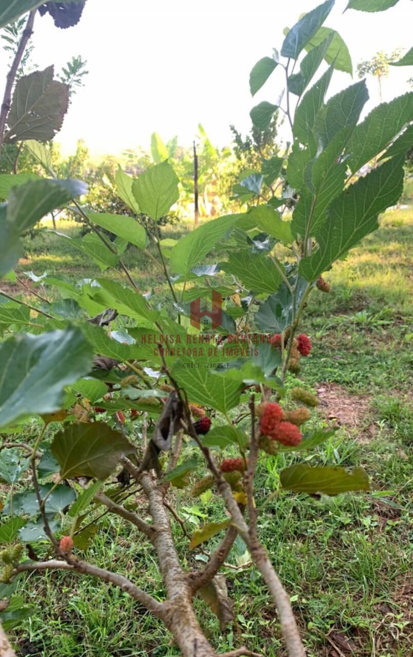 Terreno / Lote / Condomínio à venda, 380m² — foto 36 de 38