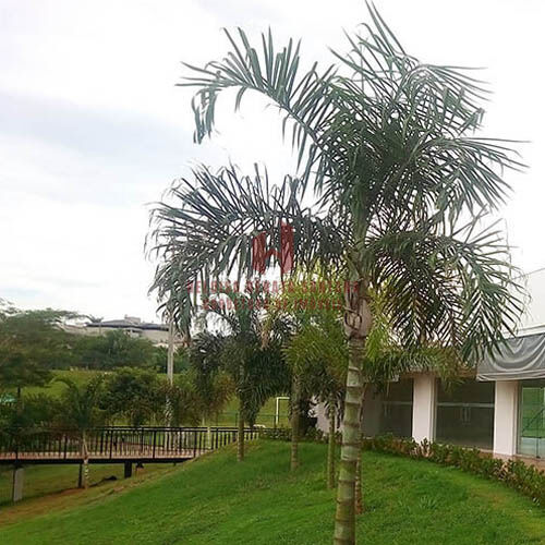 Terreno / Lote / Condomínio à venda, 400m² — foto 4 de 6