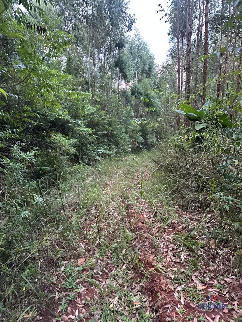 Imagem principal do imóvel