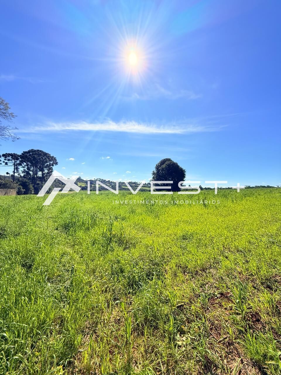 Terreno, 580 m² - Foto 16