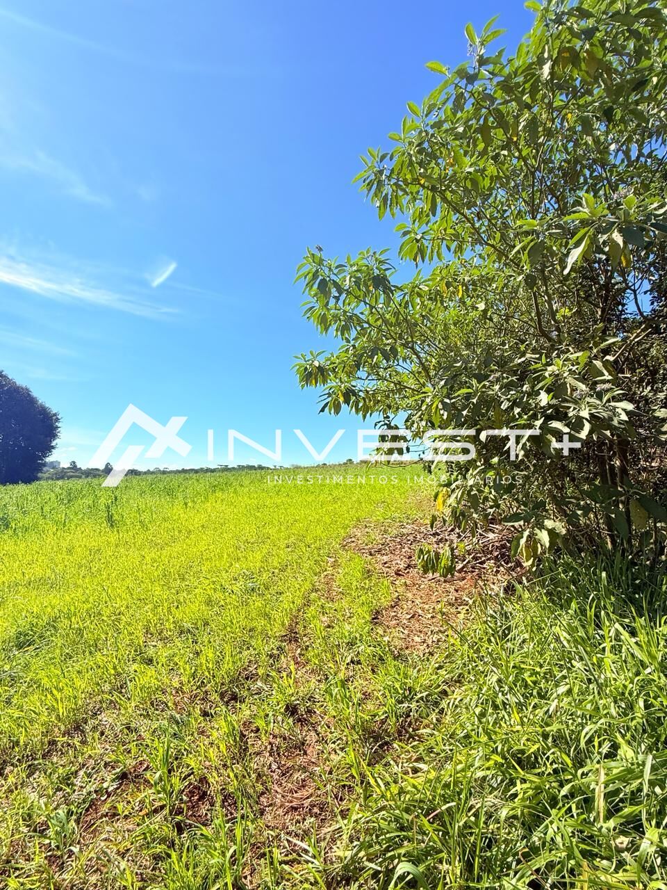 Terreno, 580 m² - Foto 14