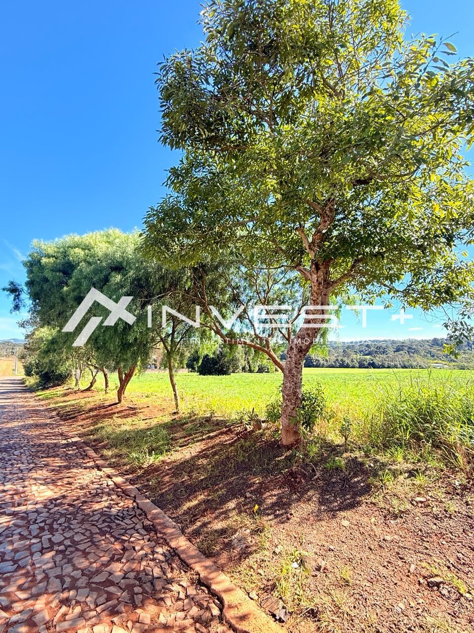 Terreno, 580 m² - Foto 2