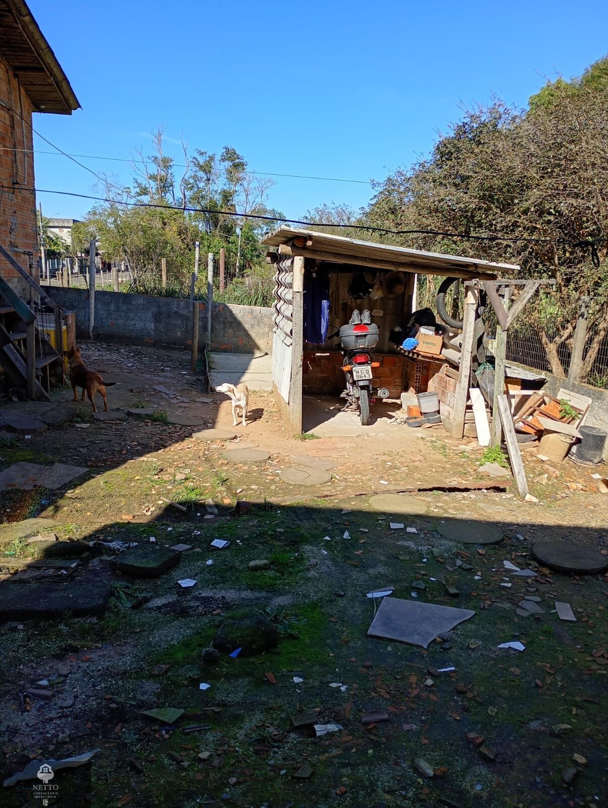 Casa, 3 quartos - Foto 11