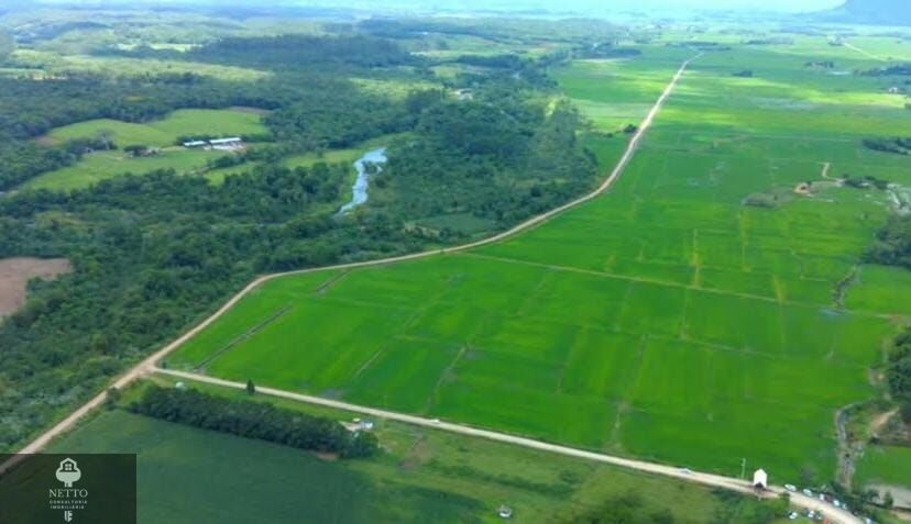 Chácara, 5 hectares - Foto 4