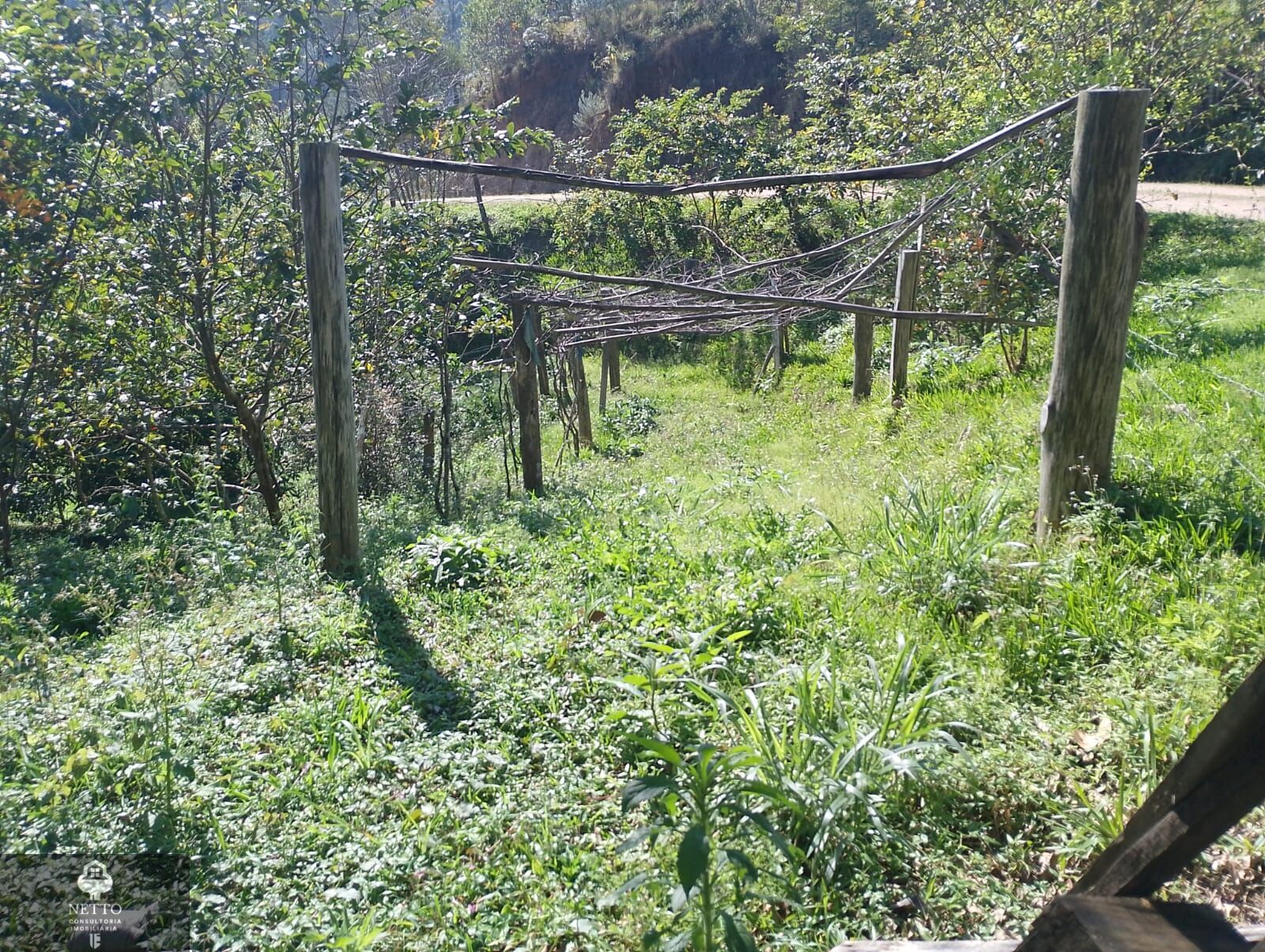 Chácara, 1 hectares - Foto 8