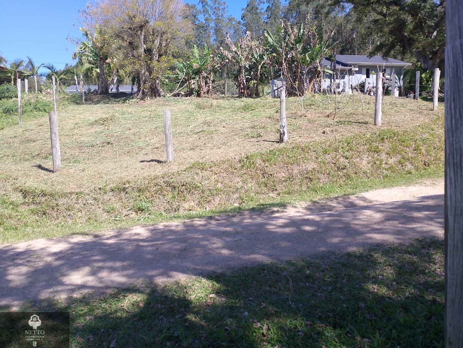 Chácara, 1 hectares - Foto 5