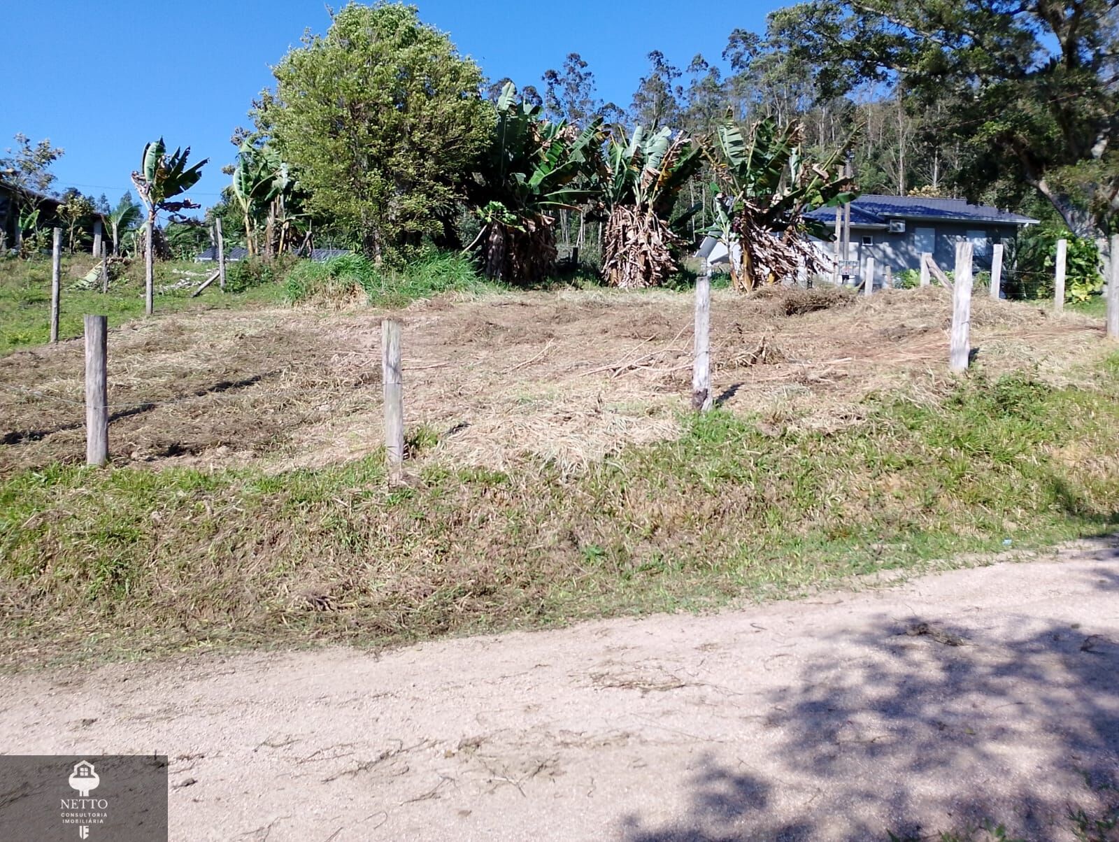 Chácara, 1 hectares - Foto 6