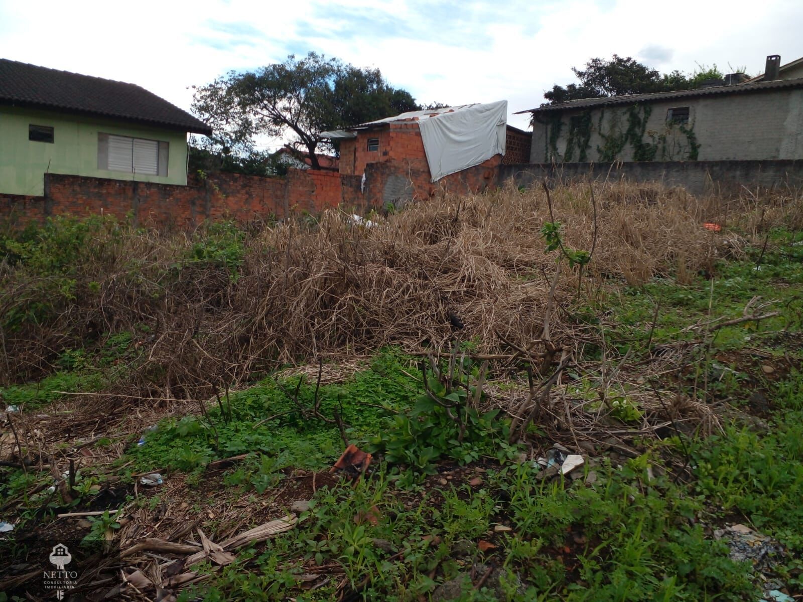 Terreno - Foto 5