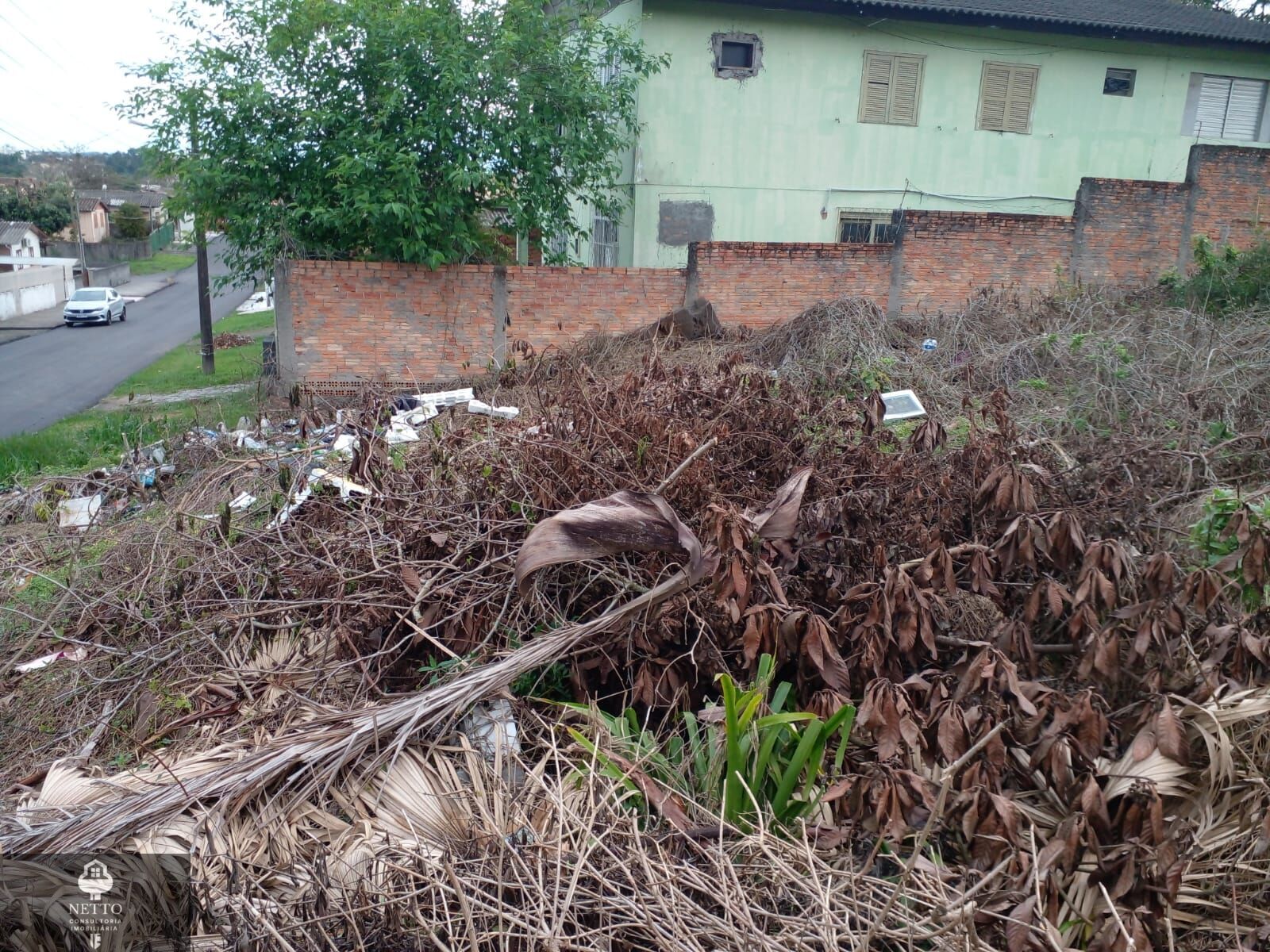 Terreno - Foto 4
