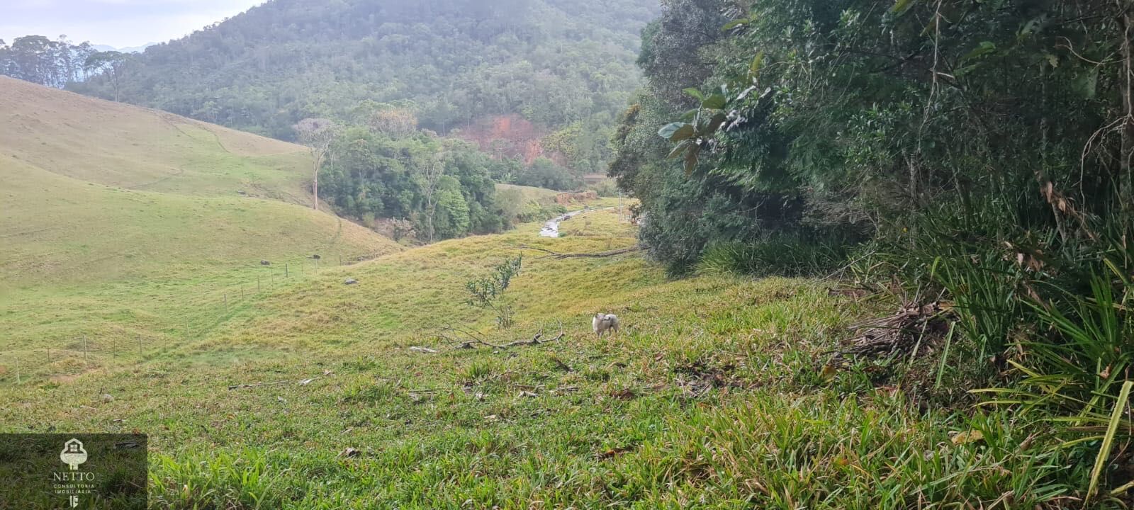 Terreno - Foto 4