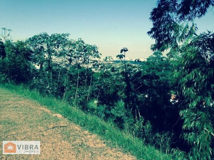 Foto 2 de Terreno à venda no Residencial Tamboré Um