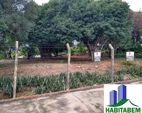 Terreno à venda em Pindorama/SP