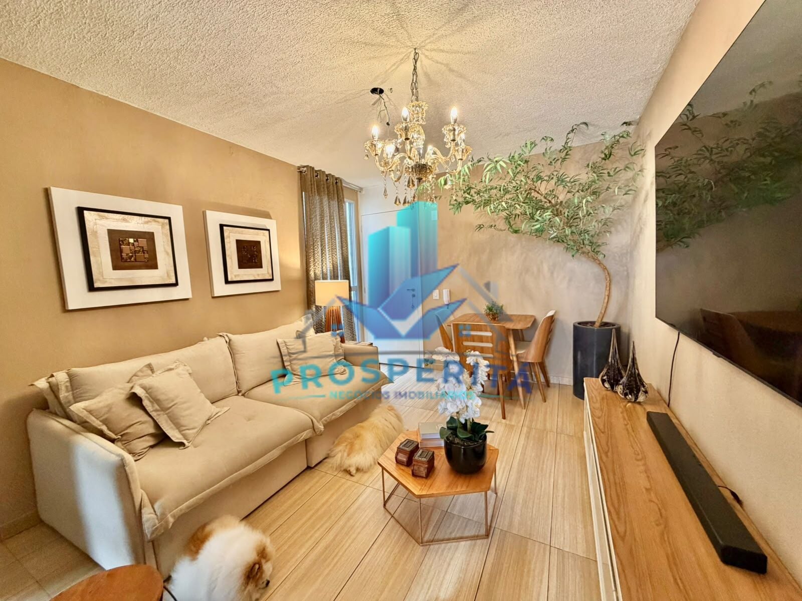 Apartamento, 2 quartos, 44 m² - Foto 4