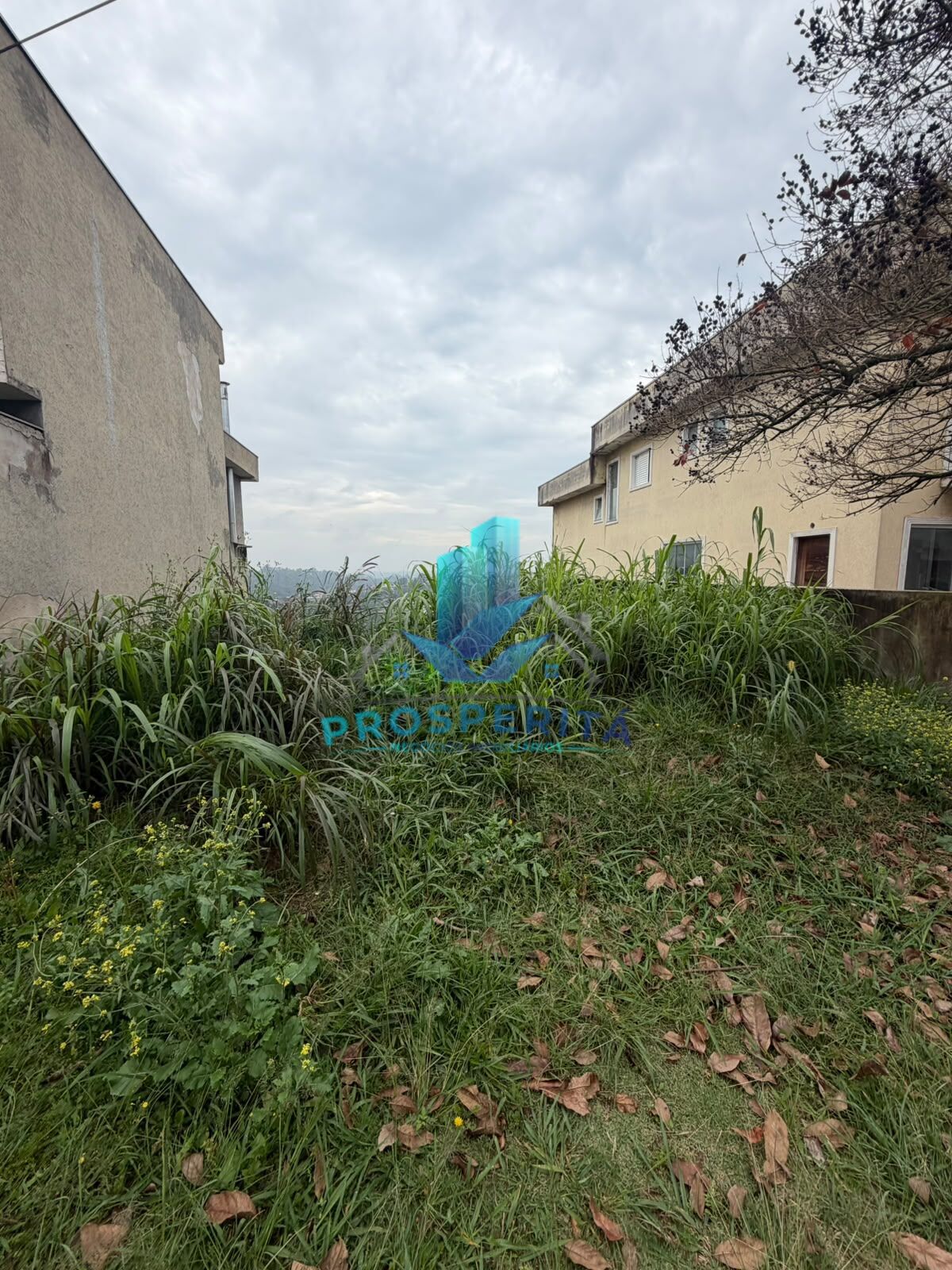 Terreno, 250 m² - Foto 1