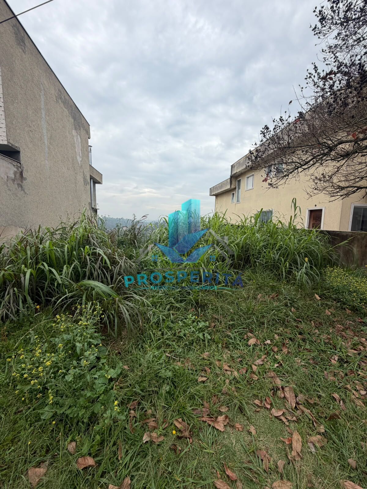Terreno, 250 m² - Foto 3