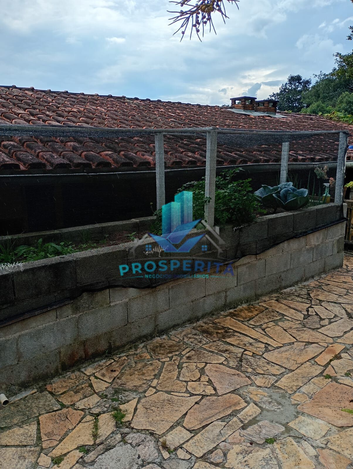 Chácara, 4 quartos, 3300 m² - Foto 27