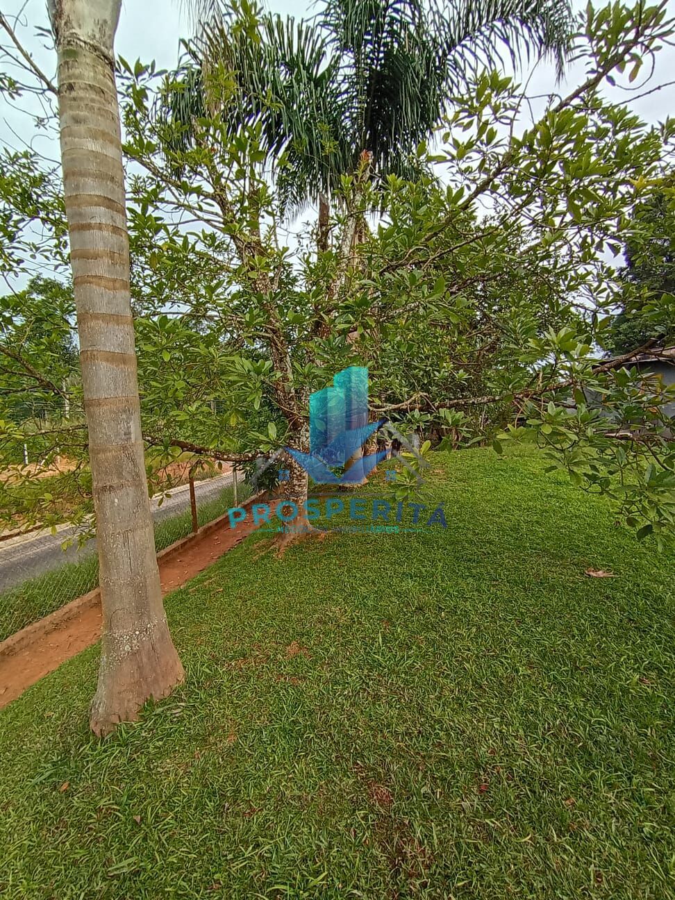 Chácara, 4 quartos, 3300 m² - Foto 42