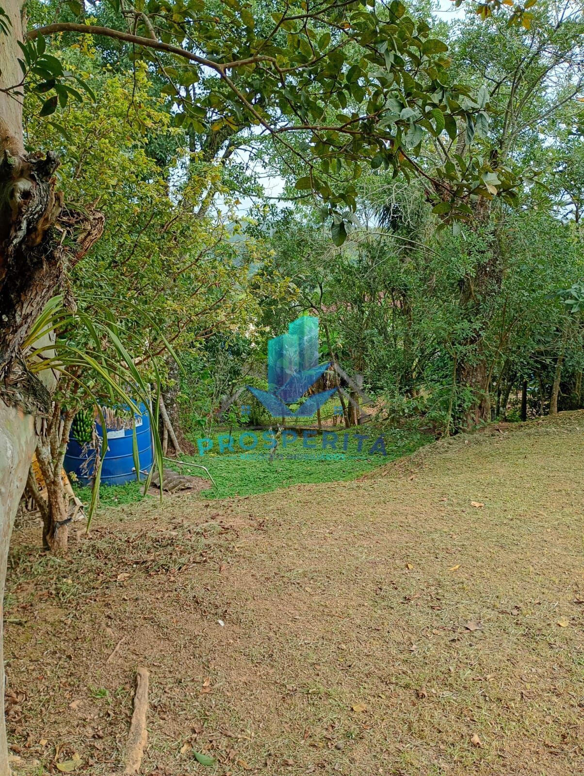 Chácara, 4 quartos, 3300 m² - Foto 16