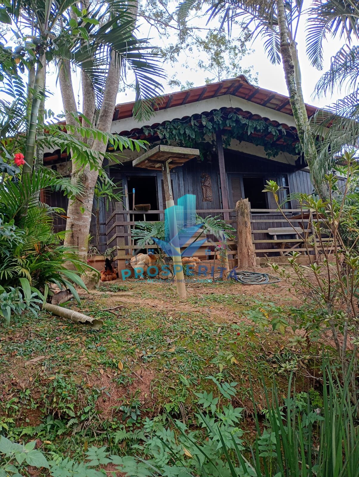 Chácara, 4 quartos, 3300 m² - Foto 32
