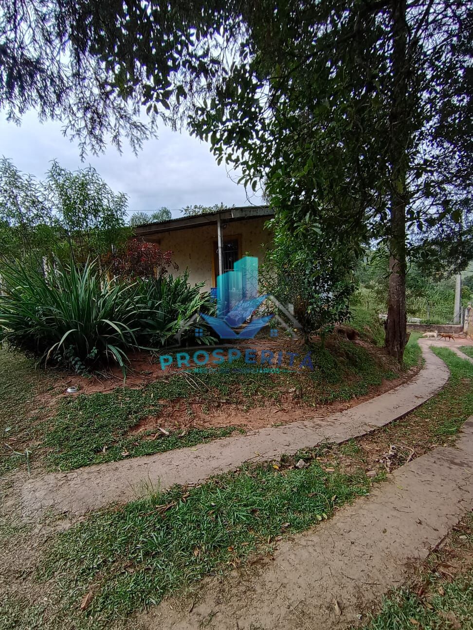 Chácara, 4 quartos, 3300 m² - Foto 43