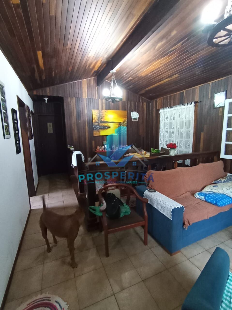 Chácara, 4 quartos, 3300 m² - Foto 19