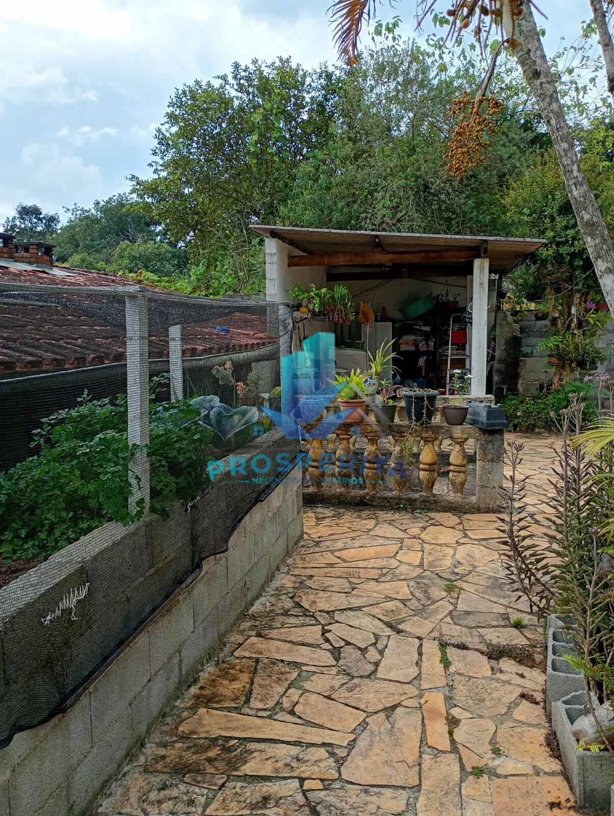 Chácara, 4 quartos, 3300 m² - Foto 39