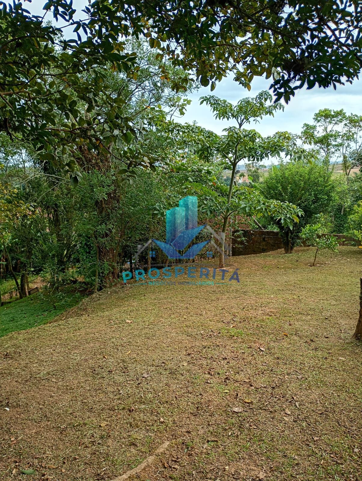 Chácara, 4 quartos, 3300 m² - Foto 29