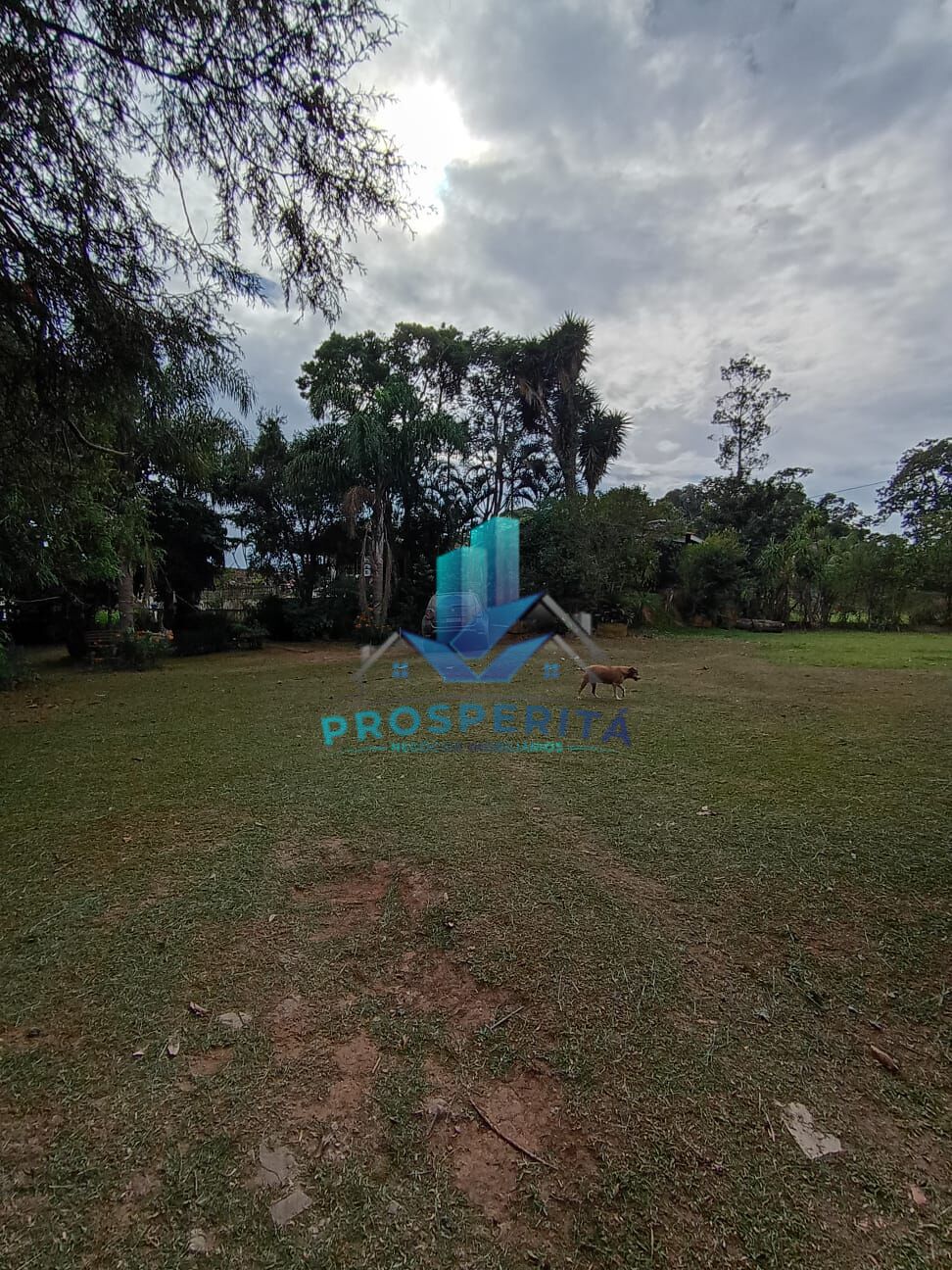 Chácara, 4 quartos, 3300 m² - Foto 5