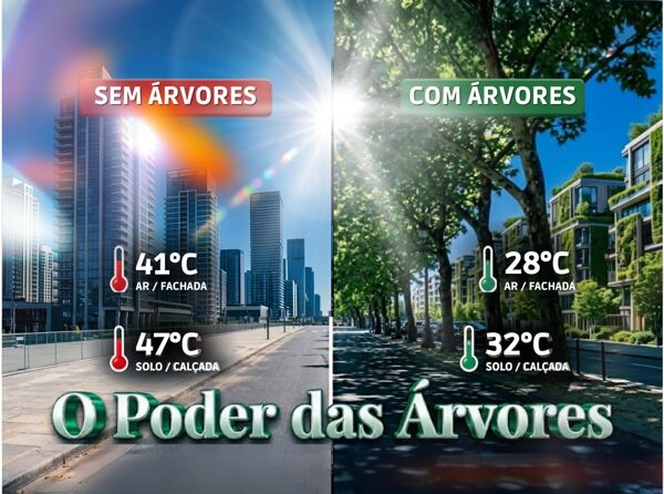 Desvendando o Poder das Árvores: Por que Preservá-las é Essencial para Nossa Qualidade de Vida?