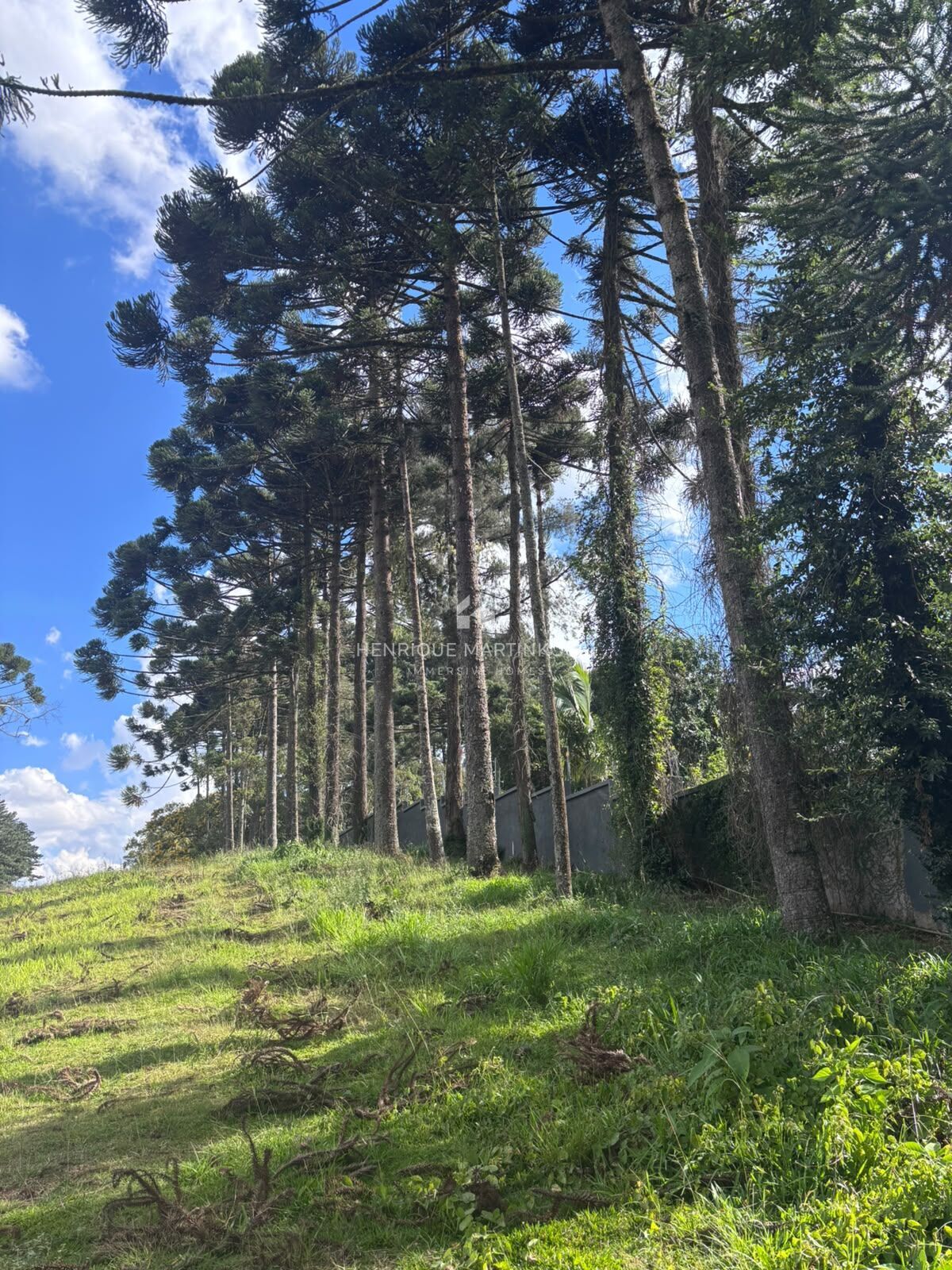 Terreno, 278 m² - Foto 6
