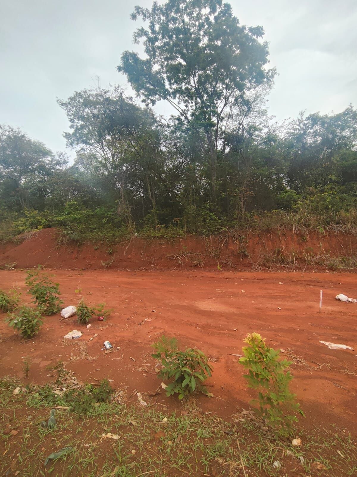 Terreno, 360 m² - Foto 4